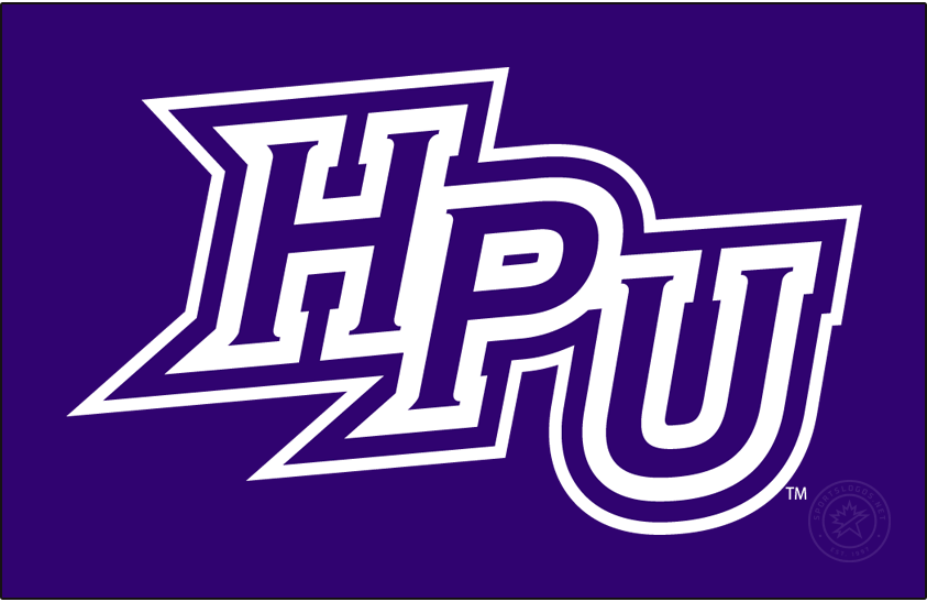 High Point Panthers 2012-Pres Primary Dark Logo diy iron on heat transfer